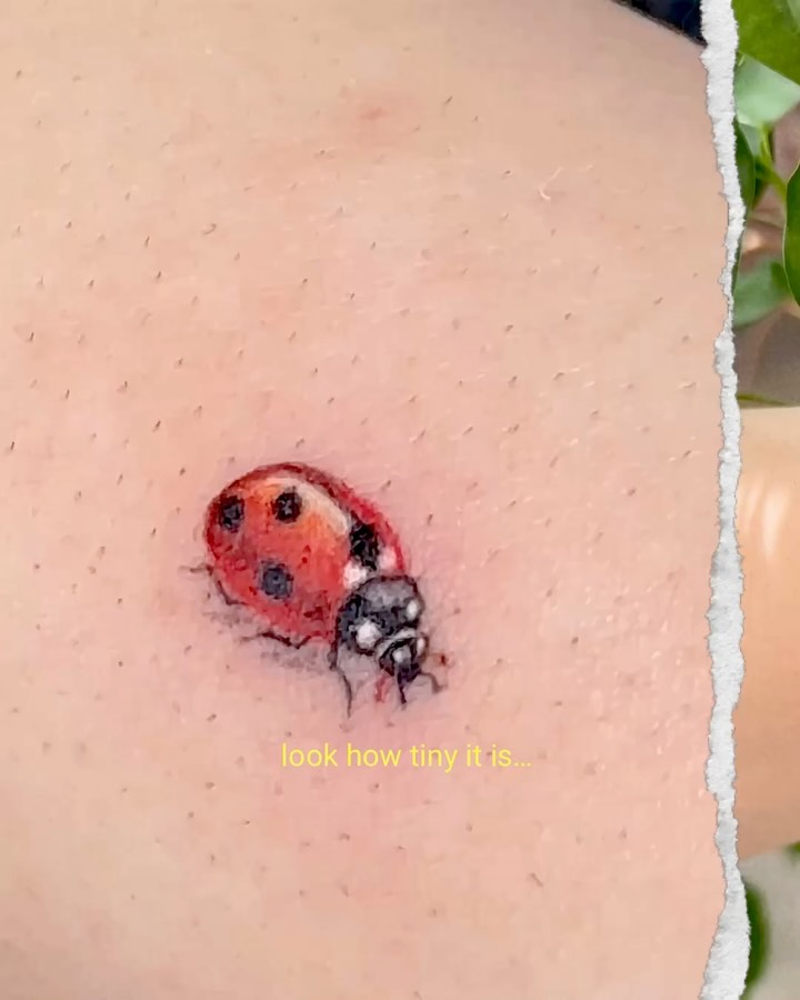 ovenlee.tattoo