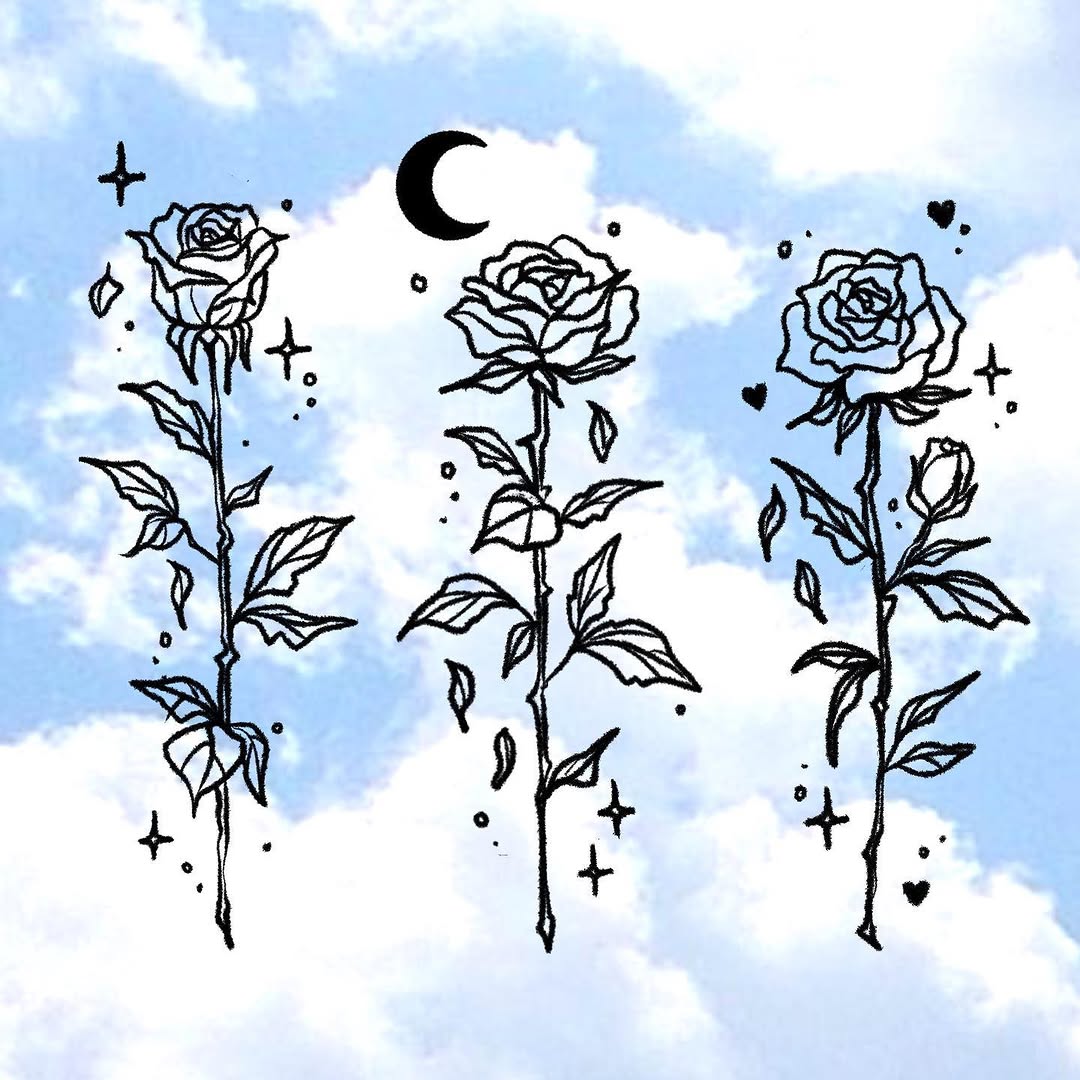 Flower, Rose