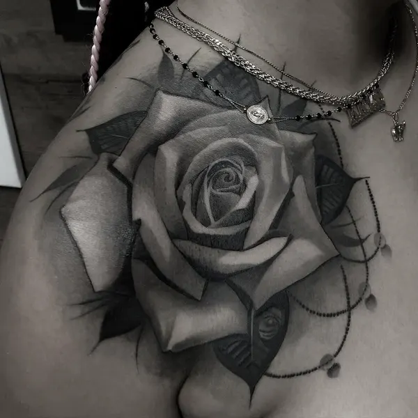 Flower, Rose, Nature