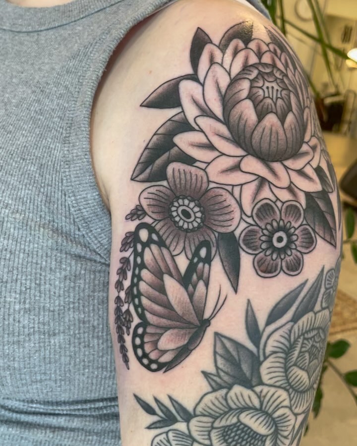 Flower, Animal, Nature, Rose