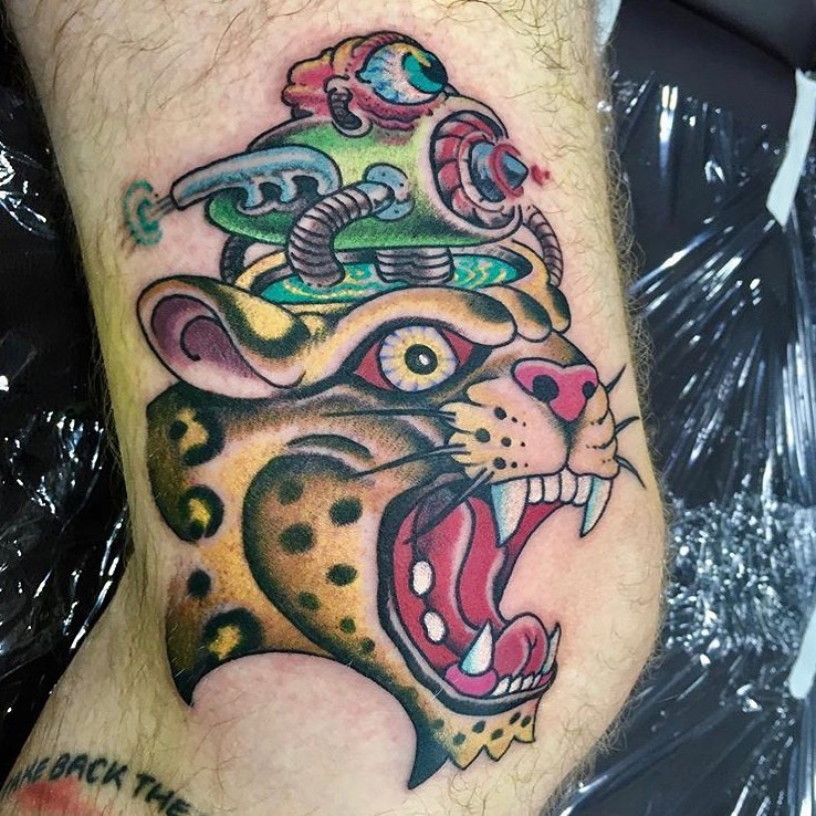 Tiger, Animal
