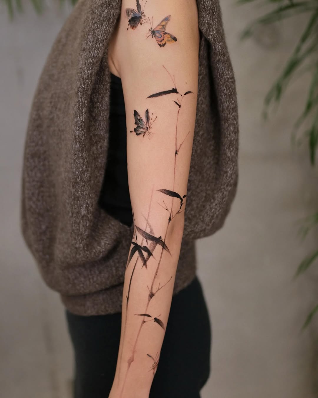 Animal, Nature