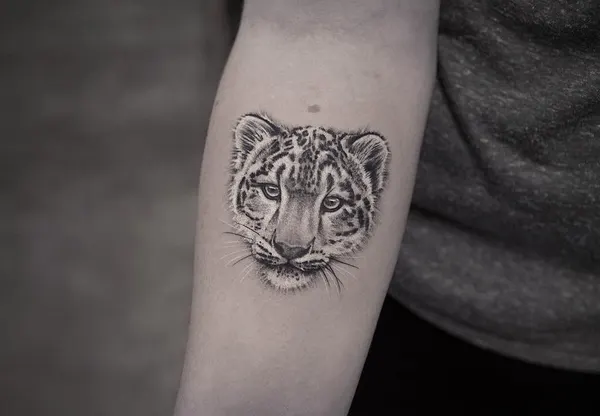 Animal