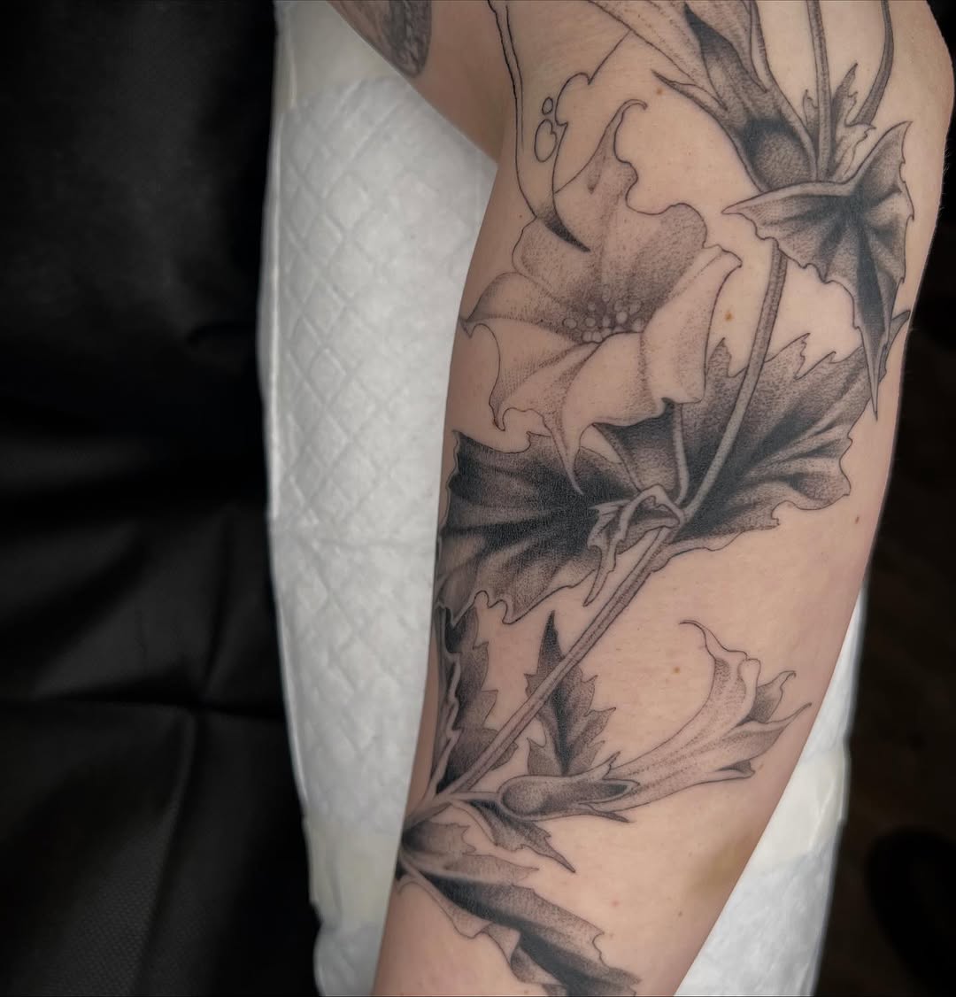 Flower, Rose