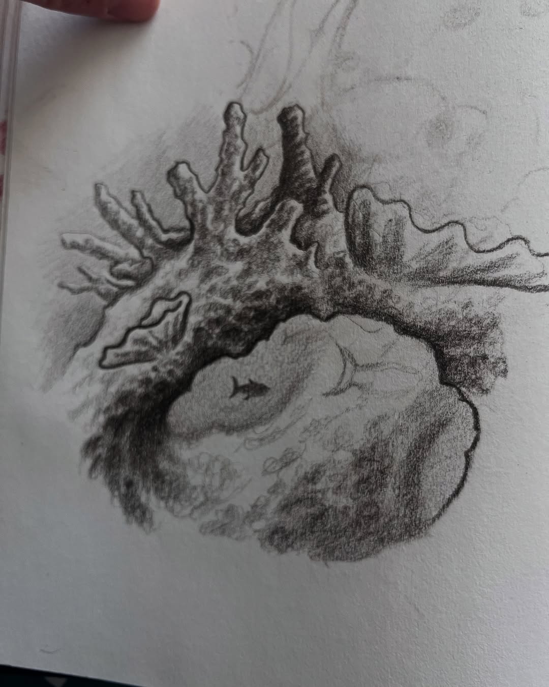 Tim McEwen