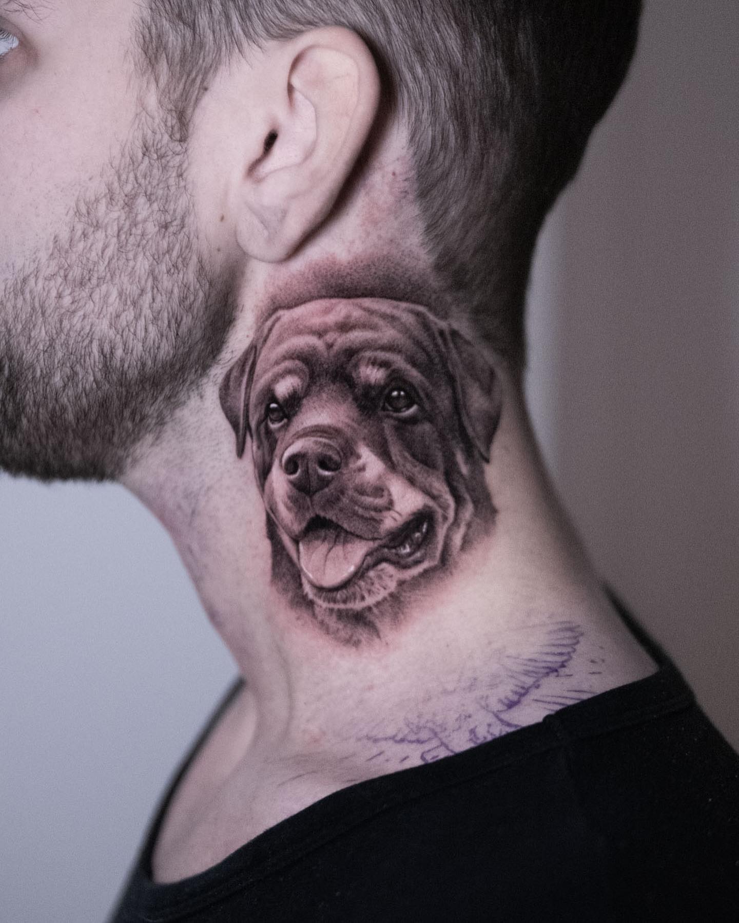 Animal