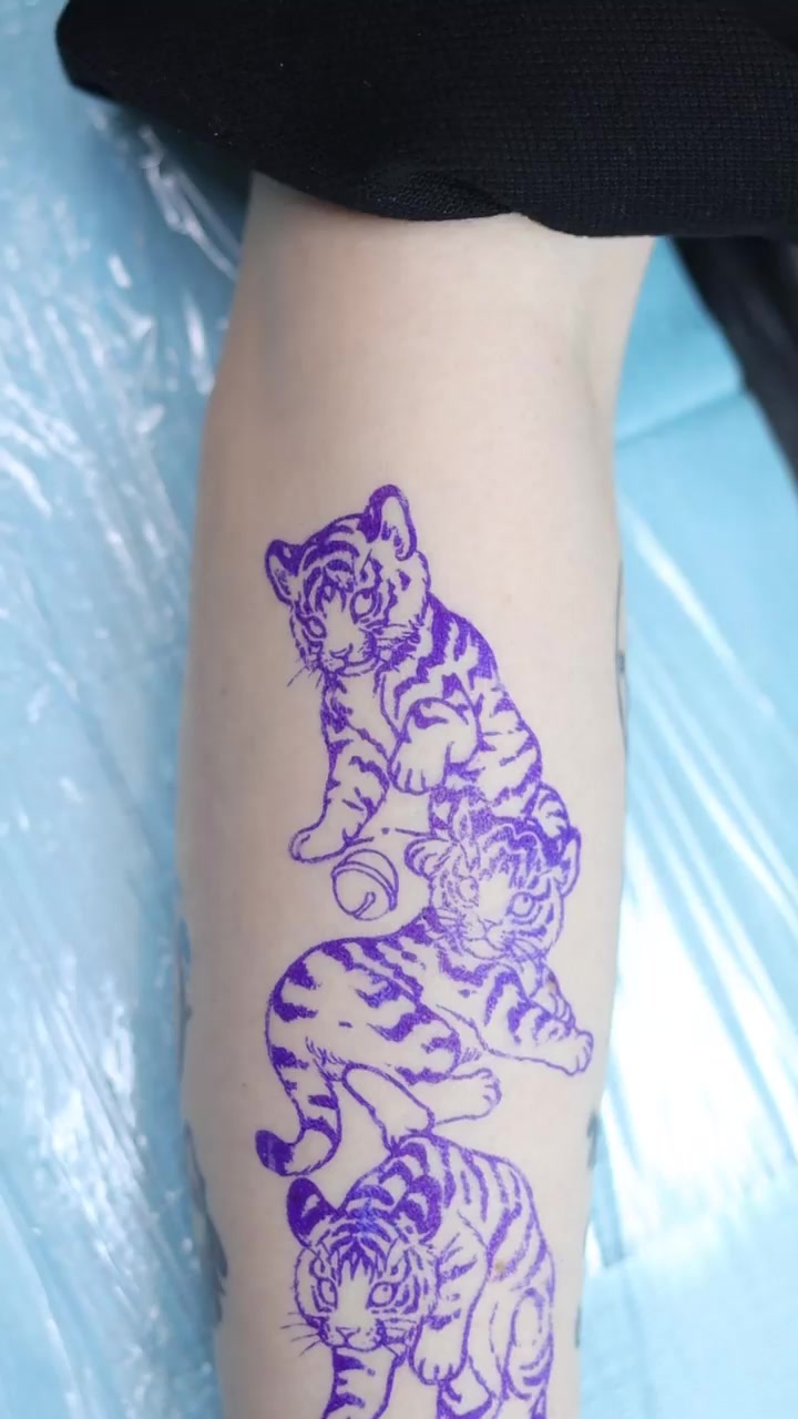 Tiger
