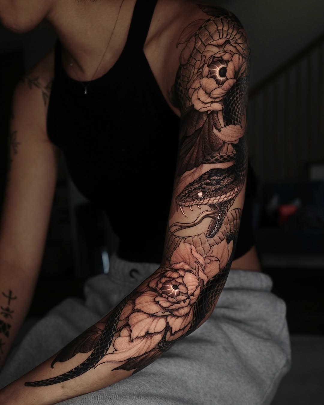 Dragon, Animal