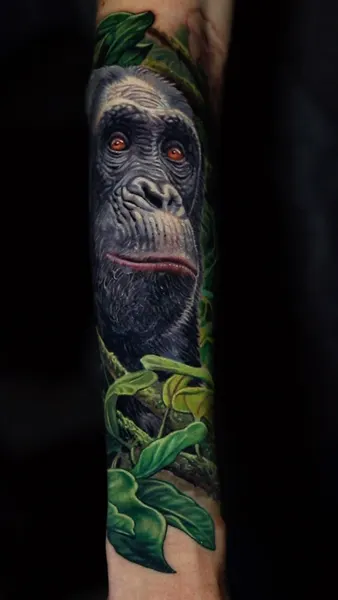 Tiger, Animal