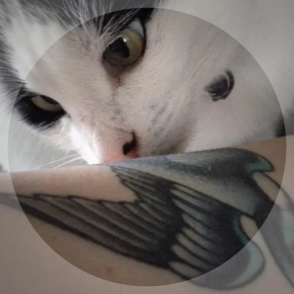 Animal