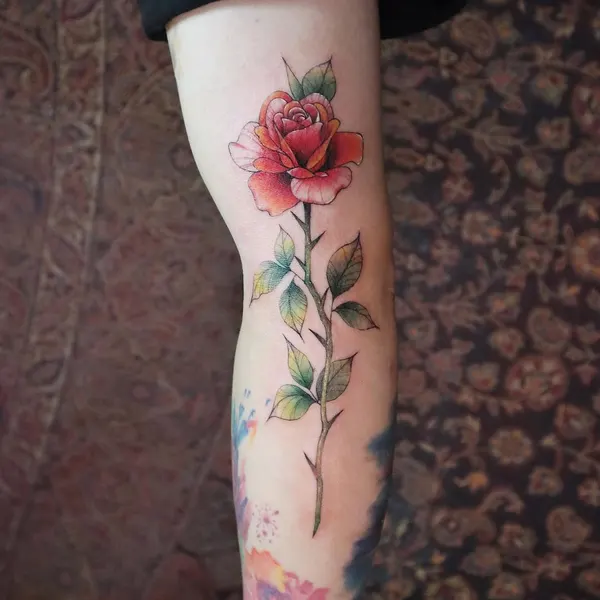 Flower, Rose