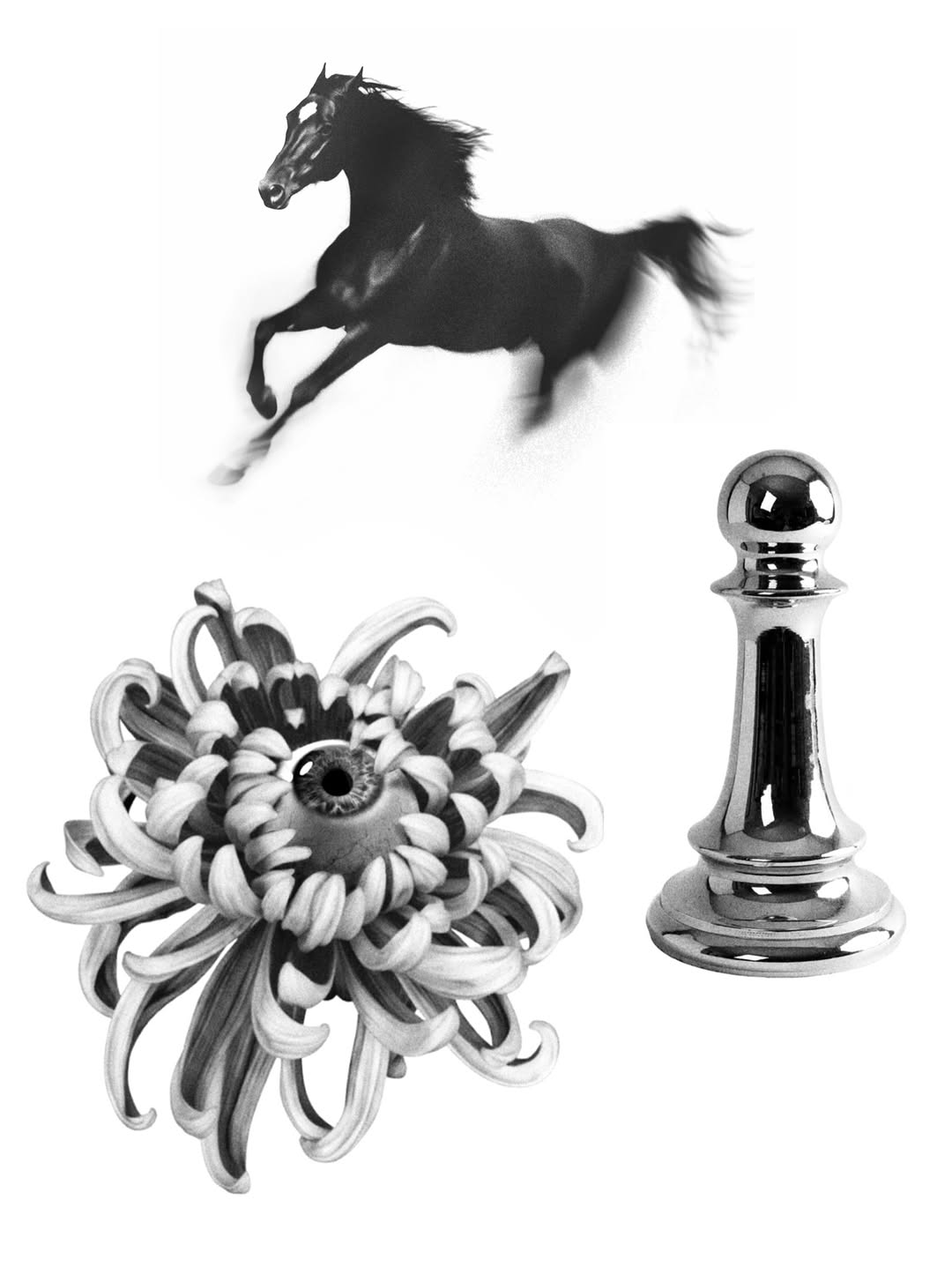 plantsnpokes