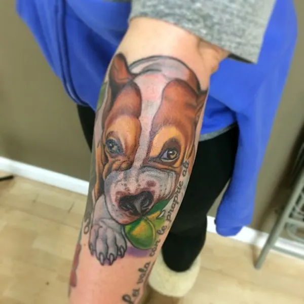 Animal