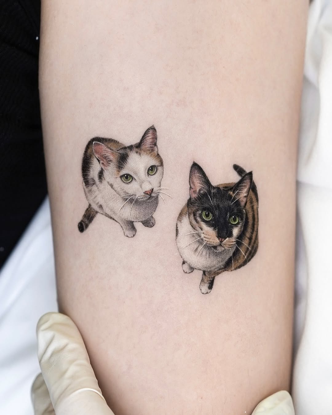 dorok.tattoo
