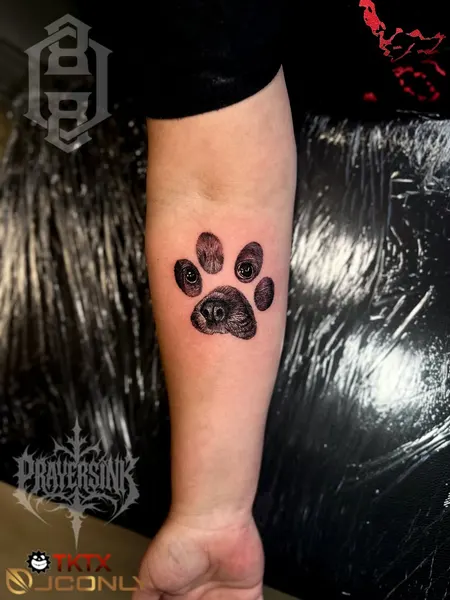Animal