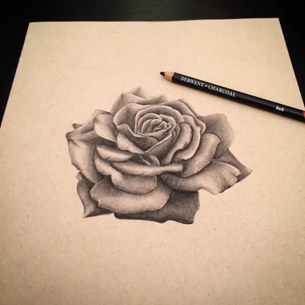 Flower, Rose