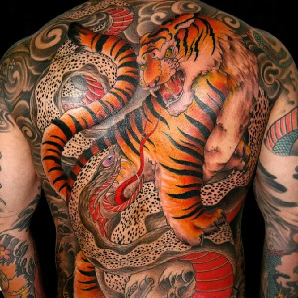 Tiger, Dragon, 일본 호랑이