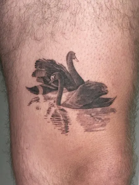 plantsnpokes