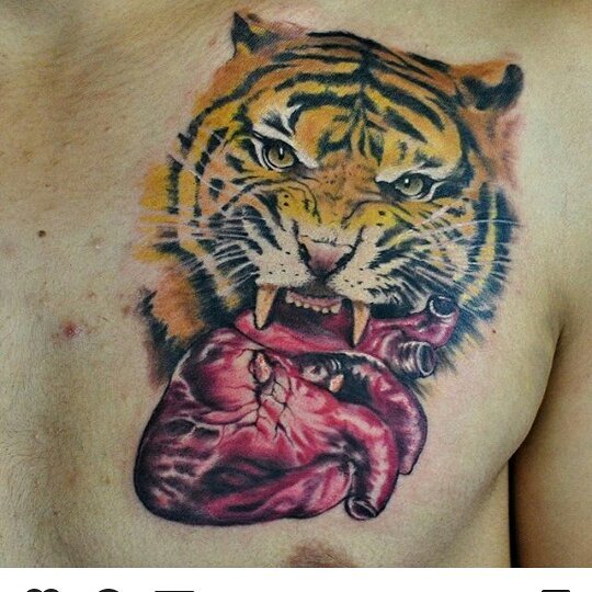 Tiger