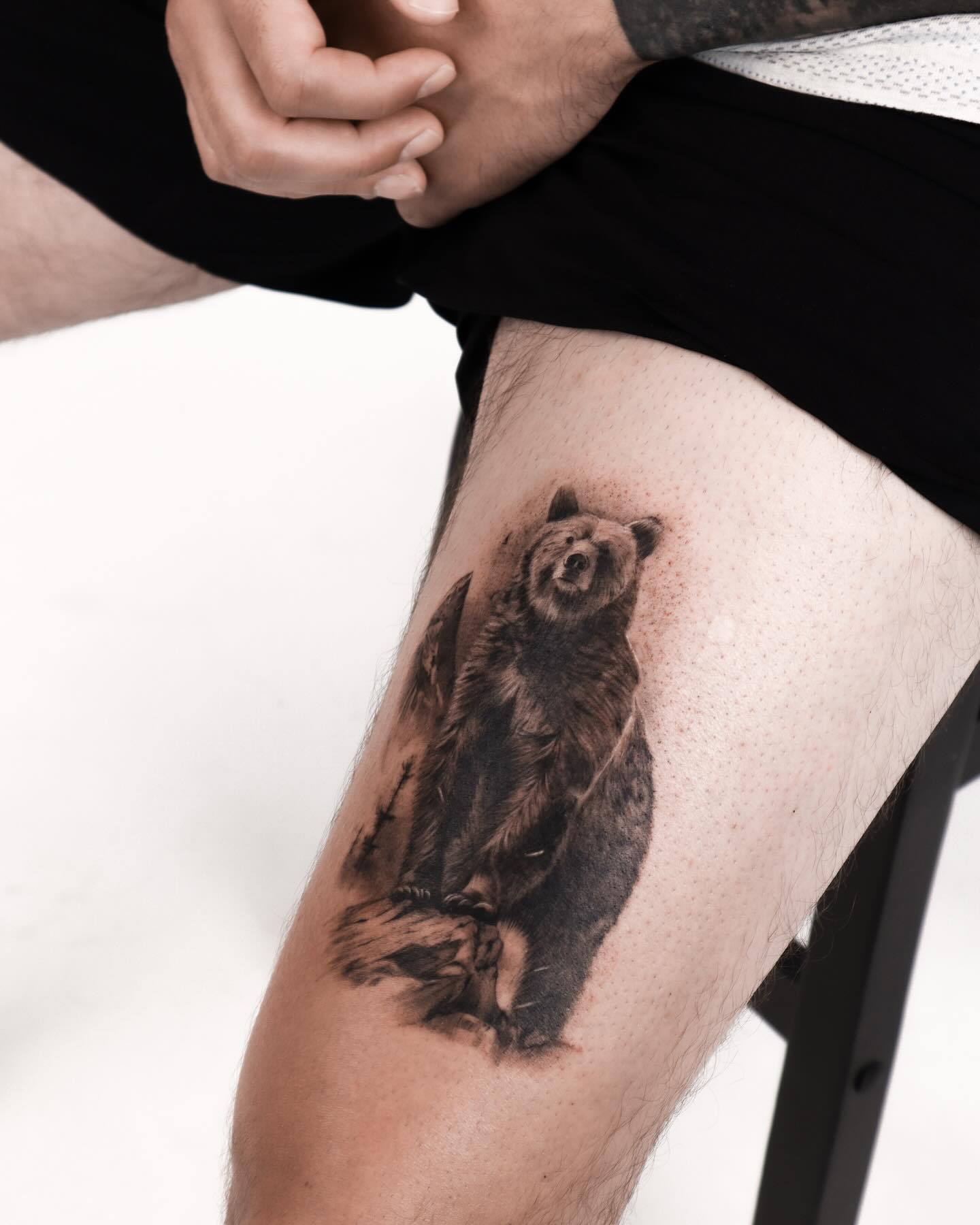 Animal, 곰