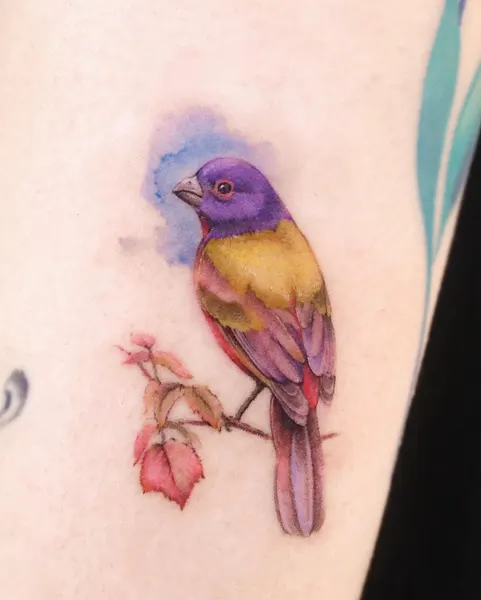 Animal, Flower