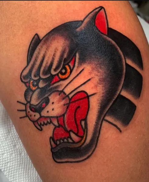 Animal, Tiger