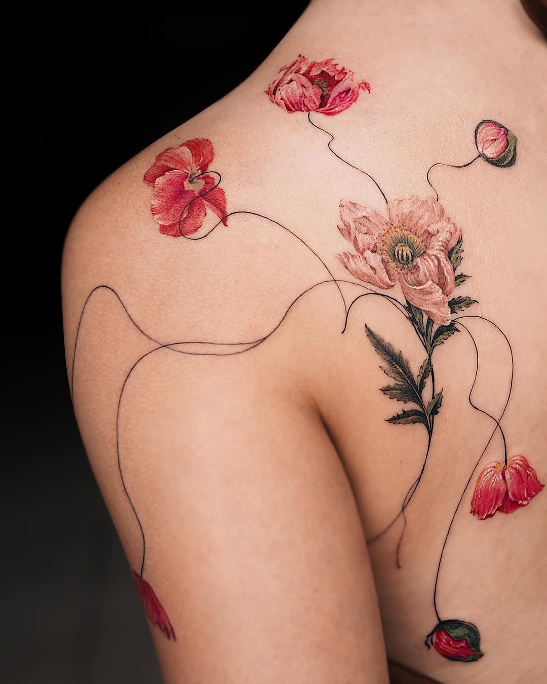 Flower, Nature, Rose