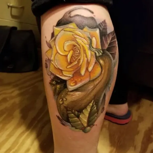 Flower, Rose