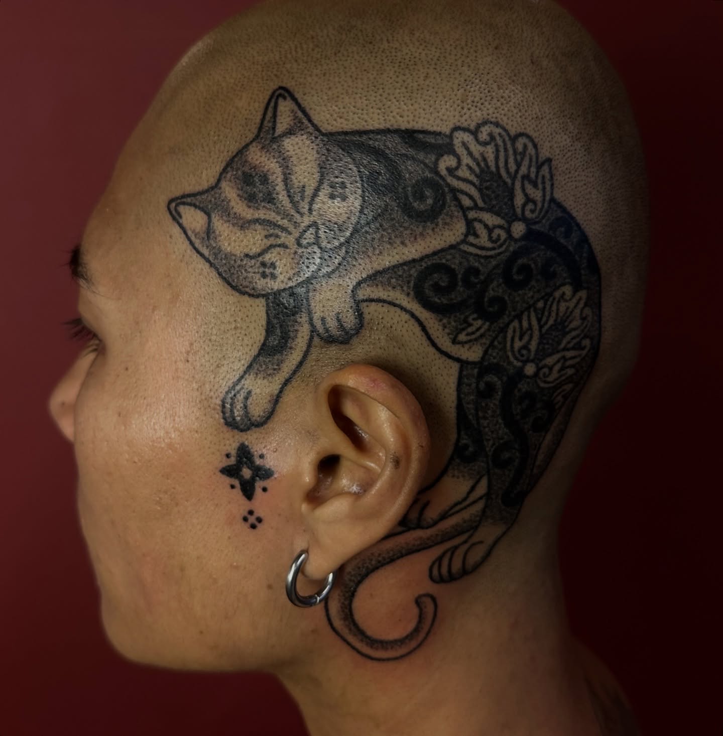 Animal