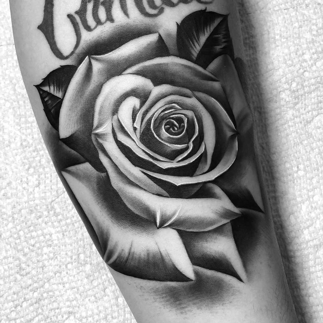 Flower, Rose
