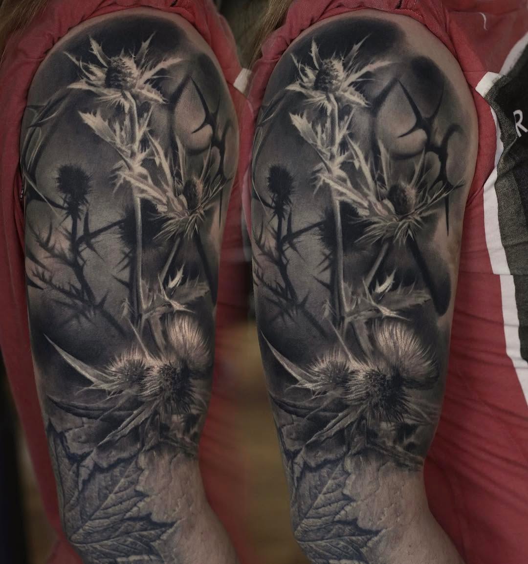 Flower, Rose, Nature