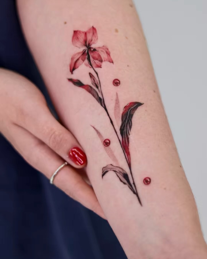 Flower, Rose