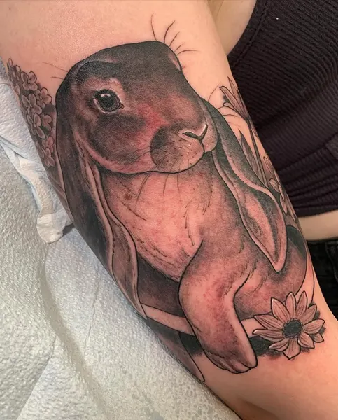 Animal, 토끼