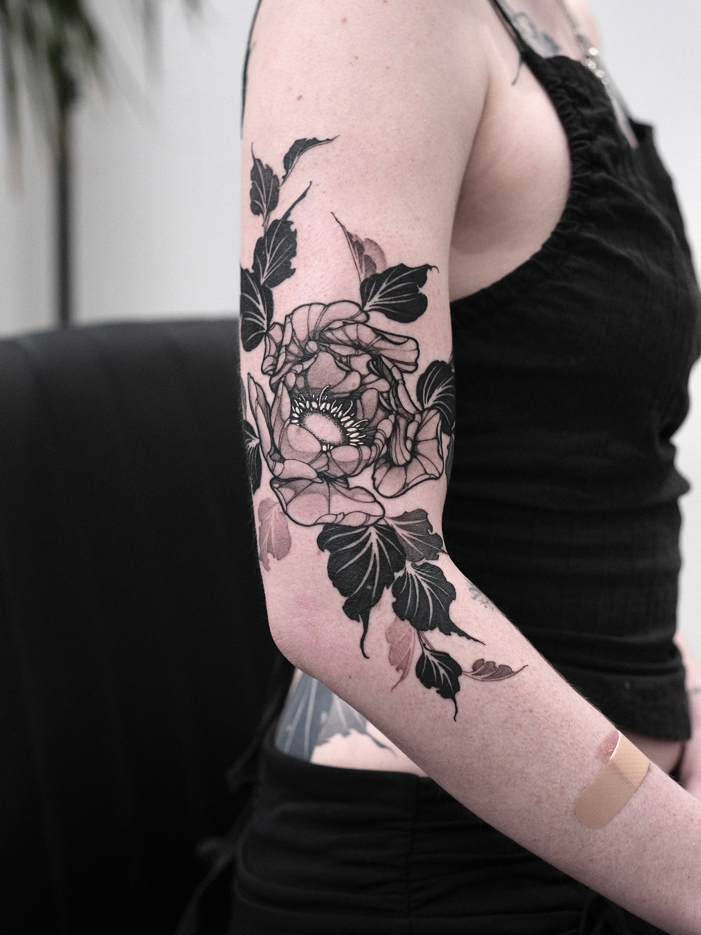 Flower, Rose, Nature