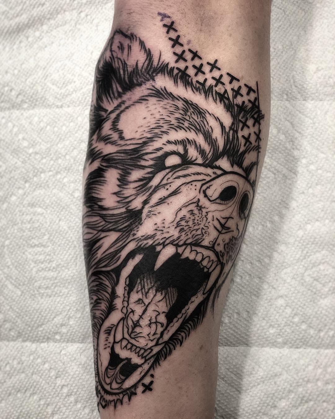 Animal, Tiger