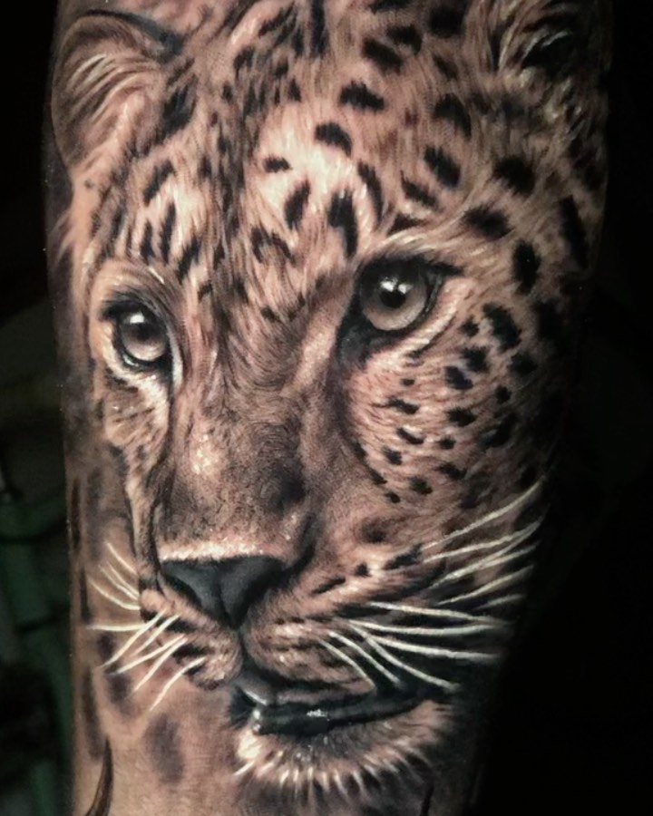 Animal, 표범, 재규어, 치타