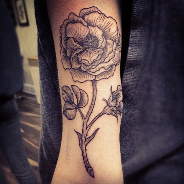 Flower, Rose