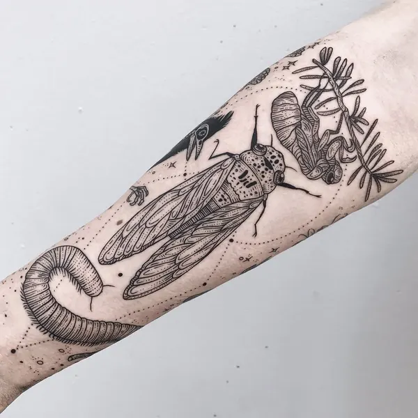 Nature, Animal