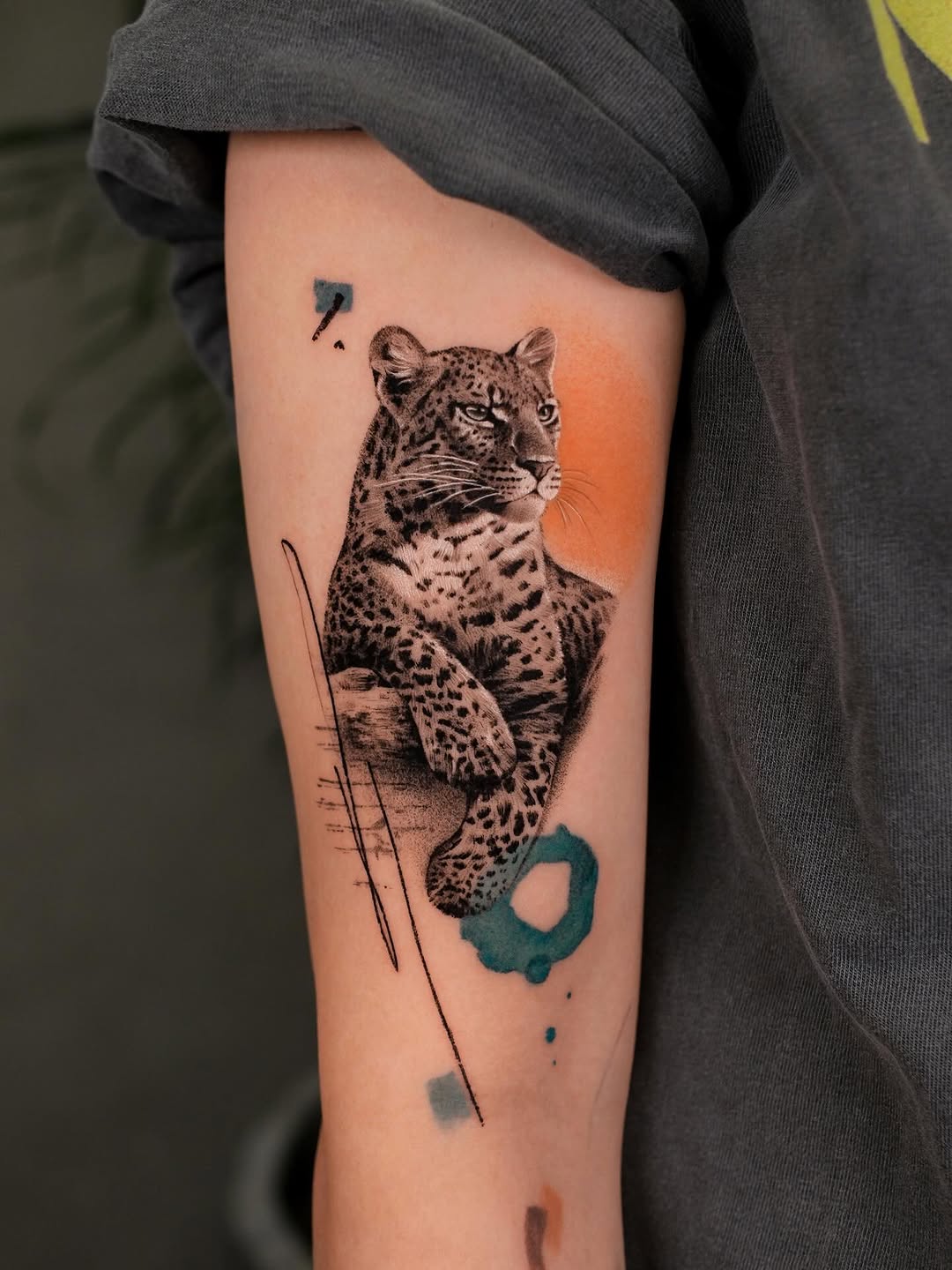 Animal, 표범, 재규어, 치타