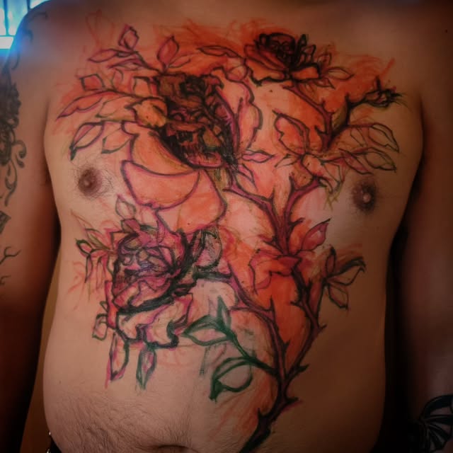 Flower, Rose, Nature