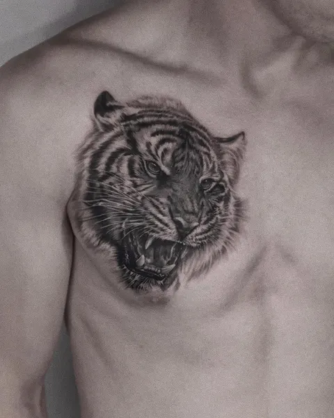 Tiger, 재규어