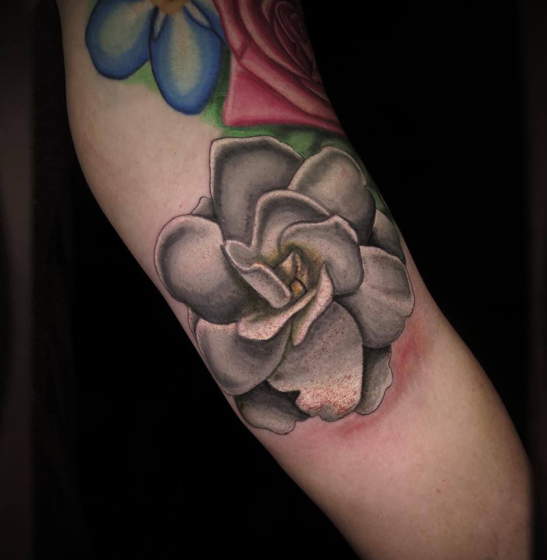Flower, Rose