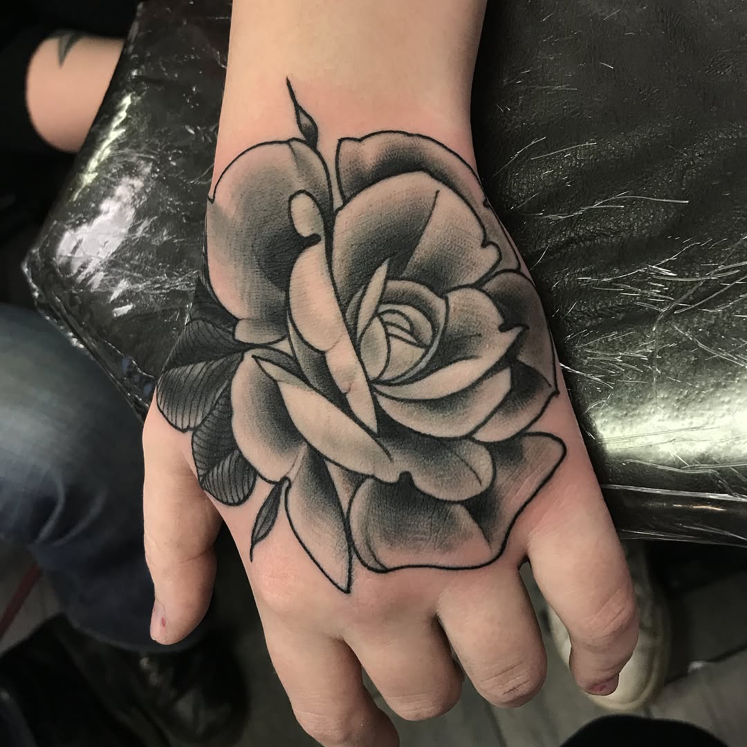 Flower, Rose
