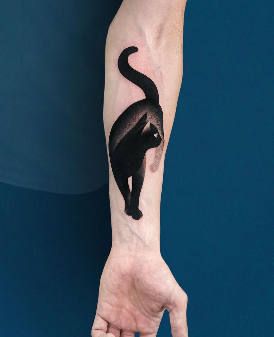 Animal