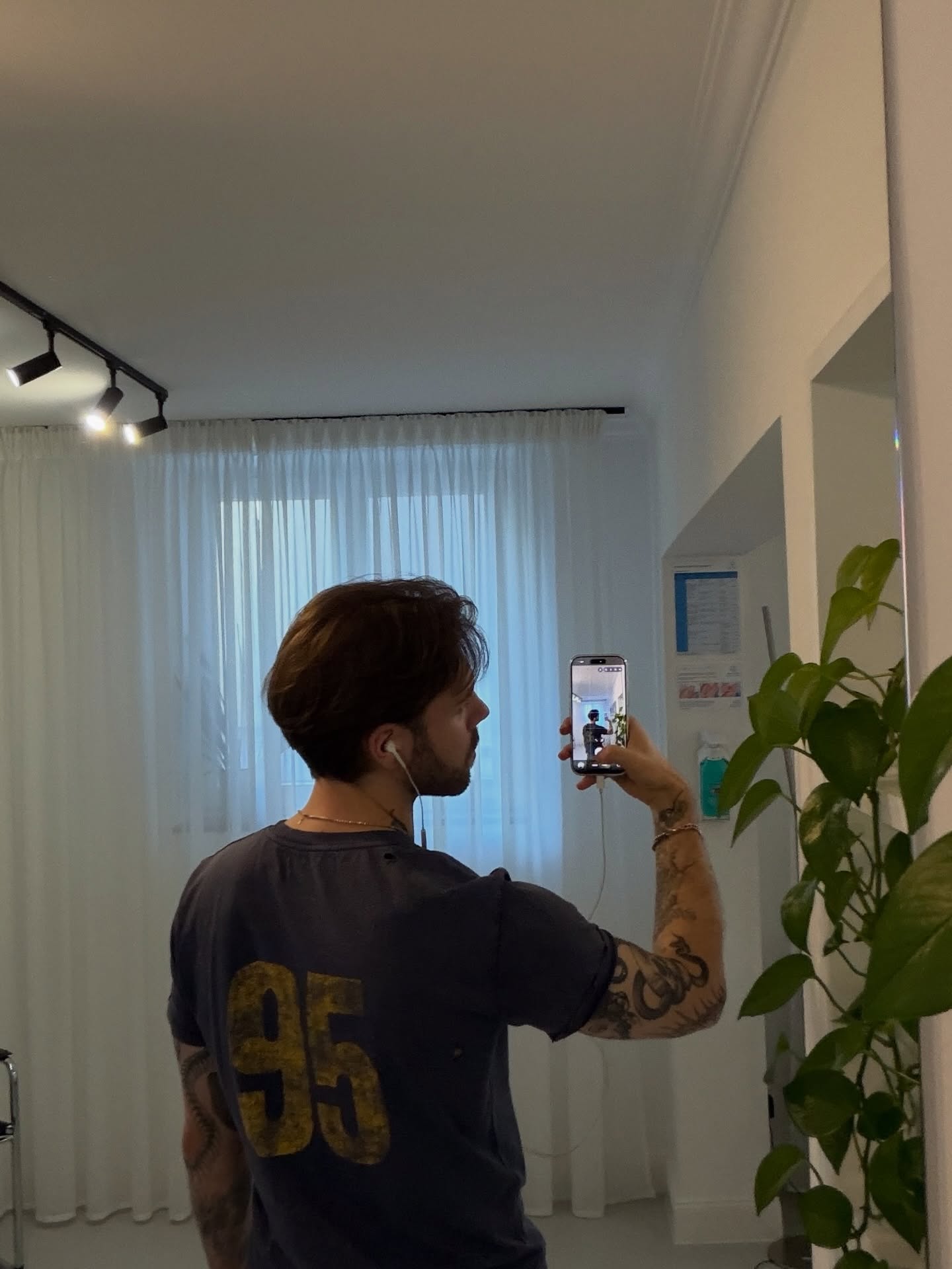 딱정벌레