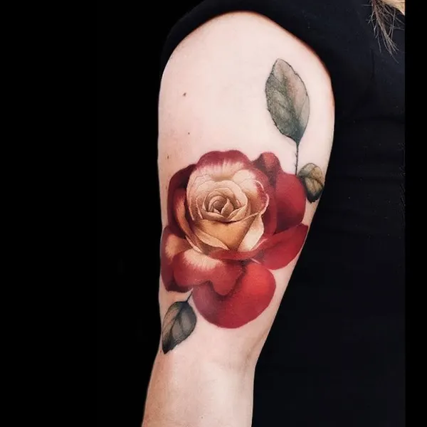 Flower, Rose, Nature