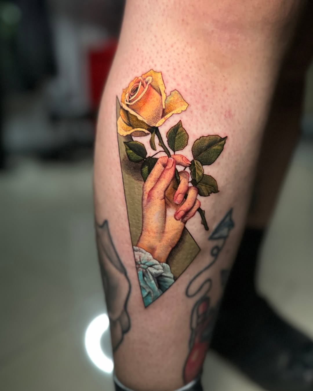 Flower, Rose