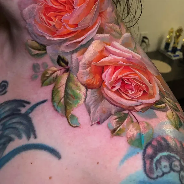 Flower, Rose, Nature