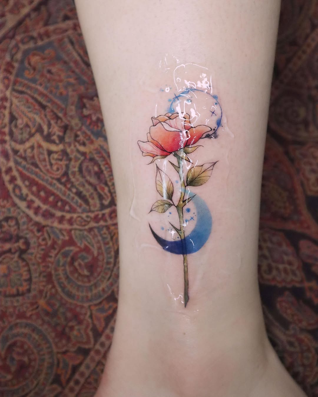 Flower, Rose