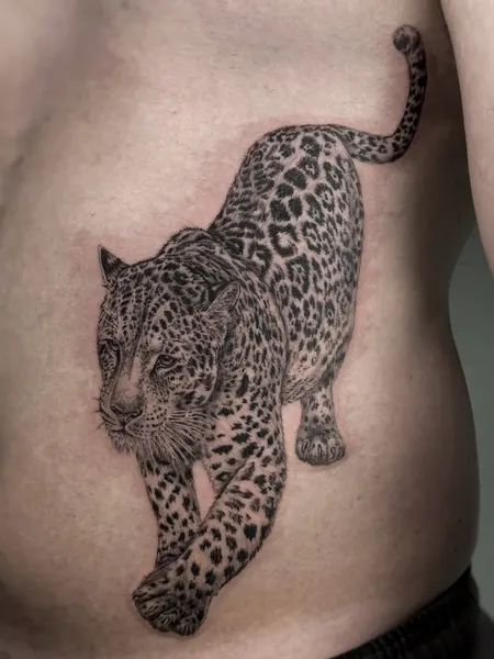 Animal, 표범, 재규어, 치타